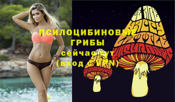 2c-b Балабаново