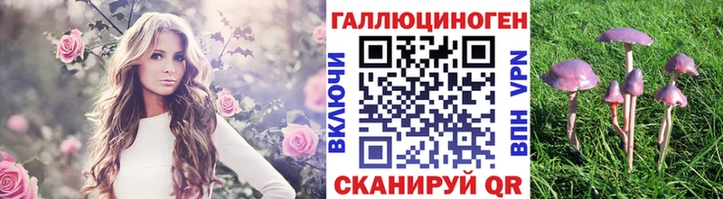 купить закладку  mega ONION  Псилоцибиновые грибы Magic Shrooms  Курганинск 